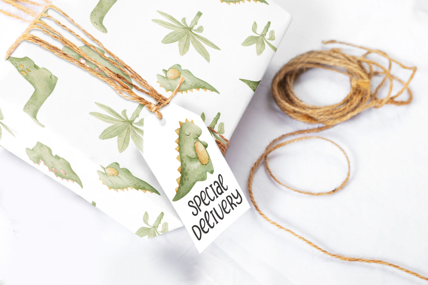 Dinosaur Baby Wrapping Paper Roll