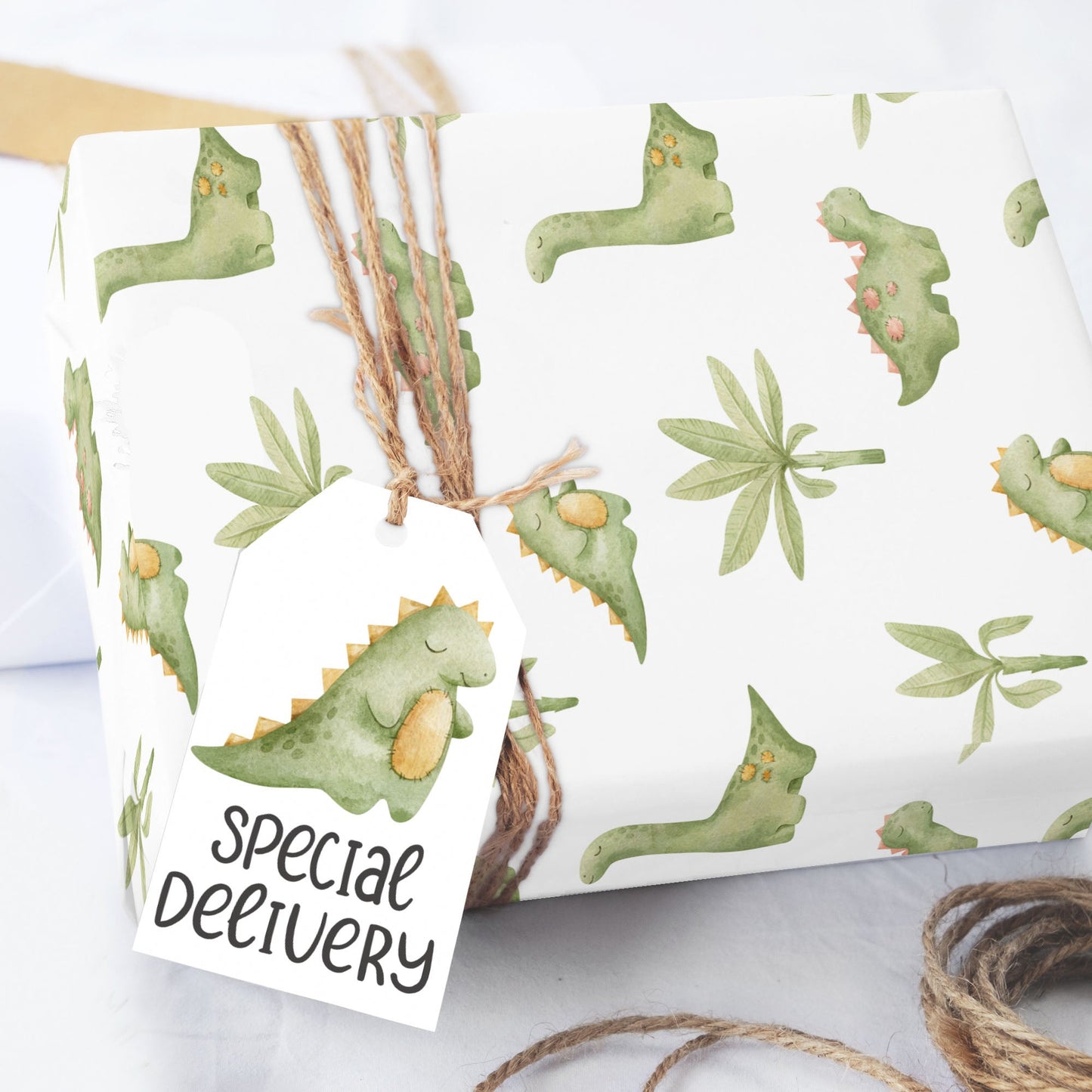 Dinosaur Baby Wrapping Paper Roll