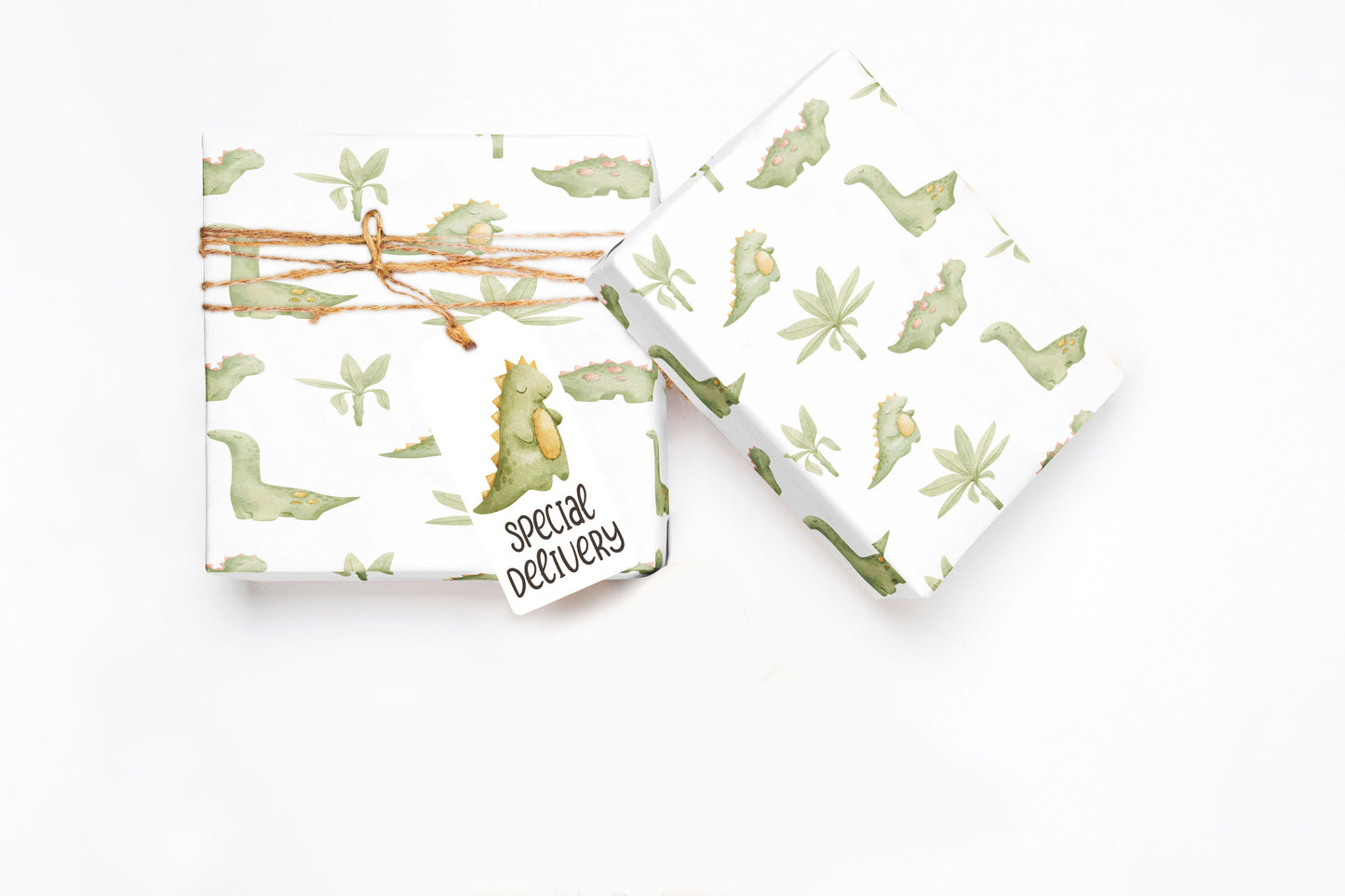 Dinosaur Baby Wrapping Paper Roll