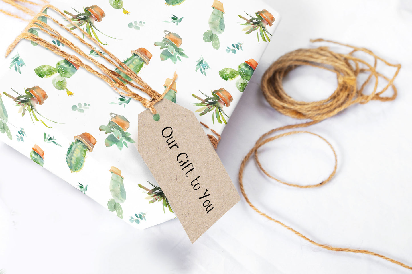 Cactus Plant Floral Watercolor Wrapping Paper