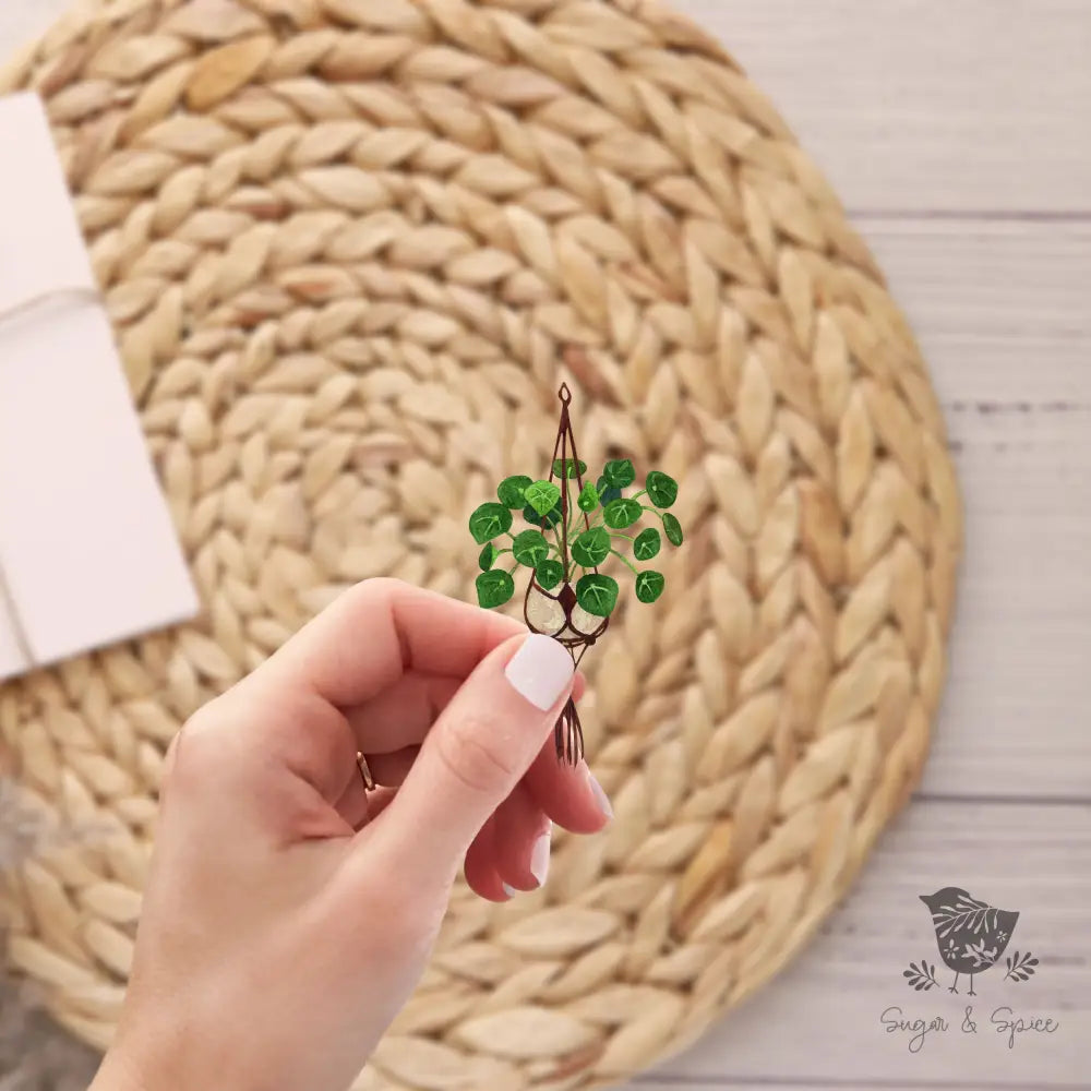 Clear Hanging House Plant Sticker - Premium from Sugar and Spice Invitations - Just $3.50! Shop now at Sugar and Spice Paper