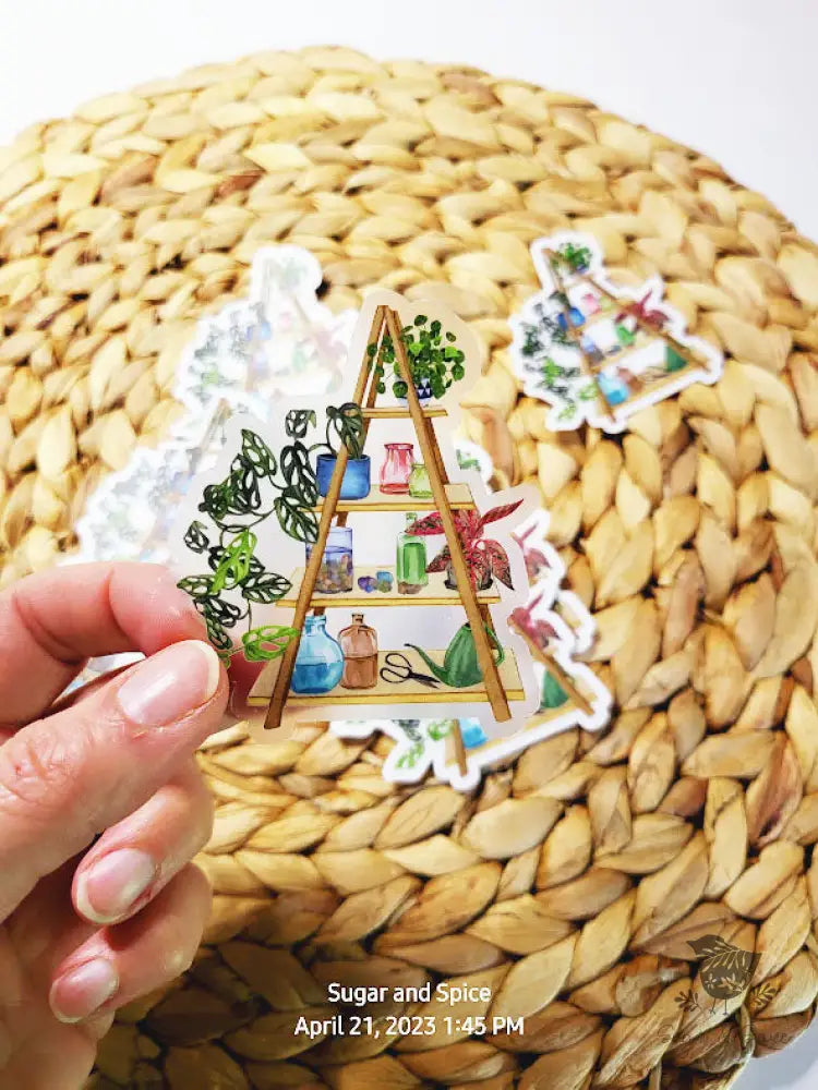 Clear House Plant on A-Frame Ladder Stand Sticker - Premium from Sugar and Spice Invitations - Just $3.50! Shop now at Sugar and Spice Paper