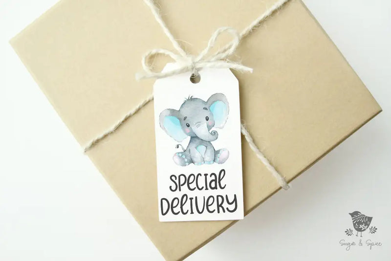 Elephant Baby Shower Gift Tag - Premium Craft Supplies & Tools > Party & Gifting > Labels, Stickers & Tags > Tags from Sugar and Spice Invitations - Just $26! Shop now at Sugar and Spice Paper
