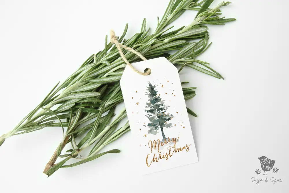 Gold Christmas Tree Gift Tag - Premium Craft Supplies & Tools > Party & Gifting > Labels, Stickers & Tags > Tags from Sugar and Spice Invitations - Just $26! Shop now at Sugar and Spice Paper