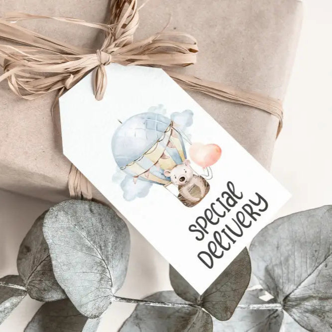 Hot Air Balloon Bear Gift Tag - Premium Craft Supplies & Tools > Party & Gifting > Labels, Stickers & Tags > Tags from Sugar and Spice Invitations - Just $24! Shop now at Sugar and Spice Paper