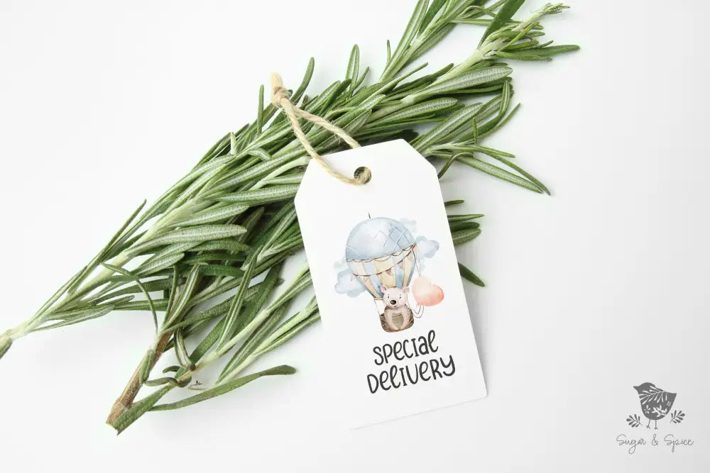 Hot Air Balloon Bear Gift Tag - Premium Craft Supplies & Tools > Party & Gifting > Labels, Stickers & Tags > Tags from Sugar and Spice Invitations - Just $24! Shop now at Sugar and Spice Paper