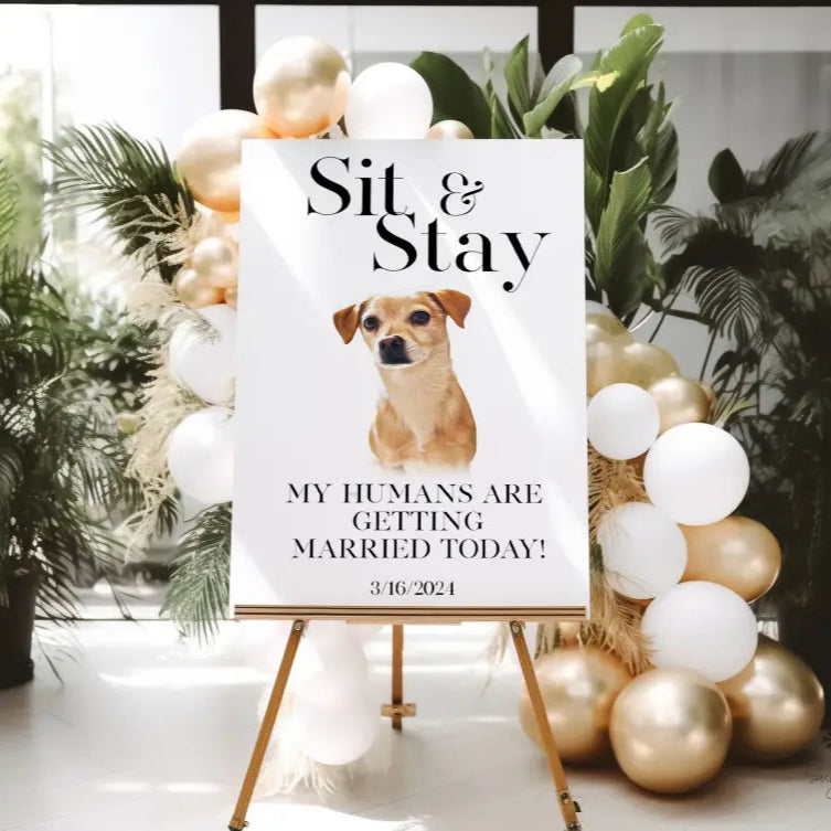 Minimalist Sit and Stay Pet Welcome Sign - Premium from Sugar and Spice Invitations - Just $65! Shop now at Sugar and Spice Paper