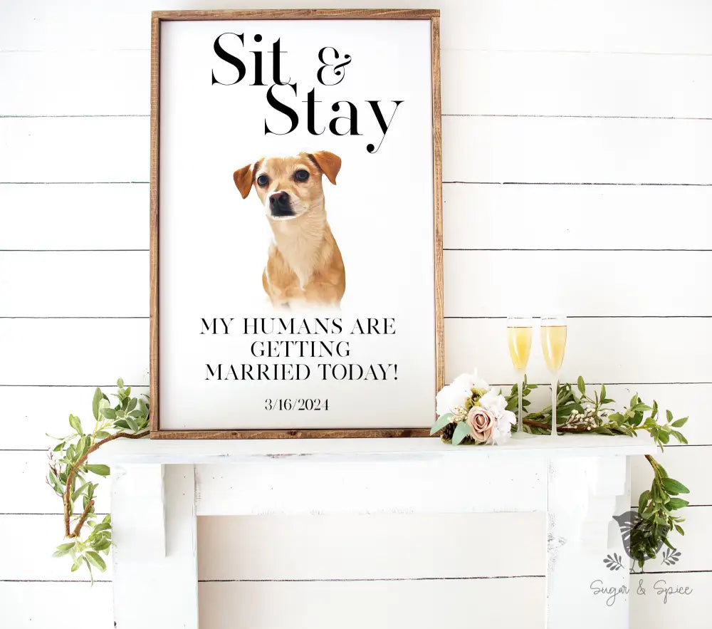 Minimalist Sit and Stay Pet Welcome Sign - Premium from Sugar and Spice Invitations - Just $65! Shop now at Sugar and Spice Paper