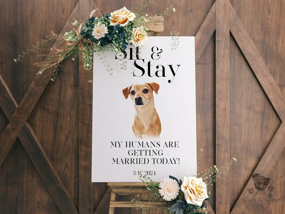 Minimalist Sit and Stay Pet Welcome Sign - Premium from Sugar and Spice Invitations - Just $65! Shop now at Sugar and Spice Paper