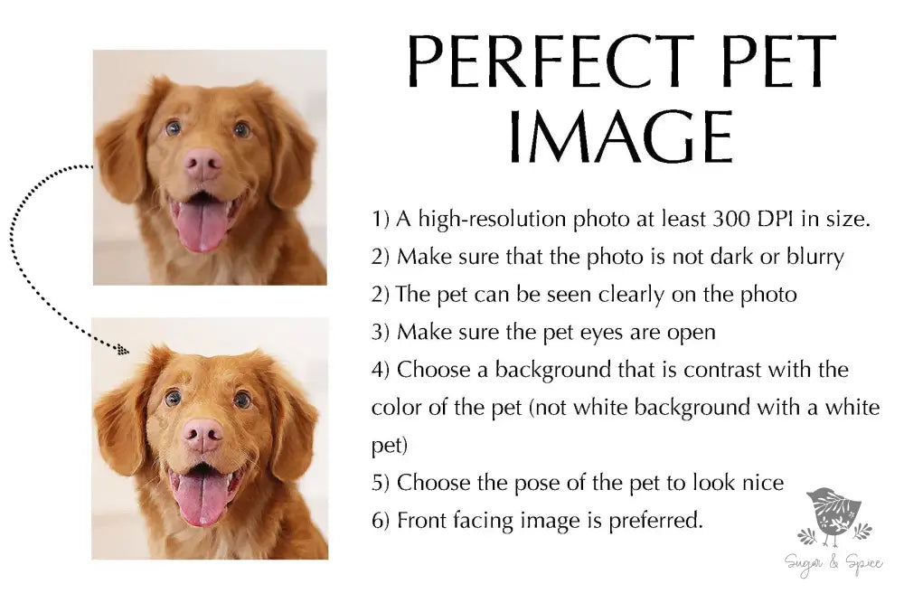 Pet Signature Drink Sign Lucy's Bar - Premium from Sugar and Spice Invitations - Just $35! Shop now at Sugar and Spice Paper