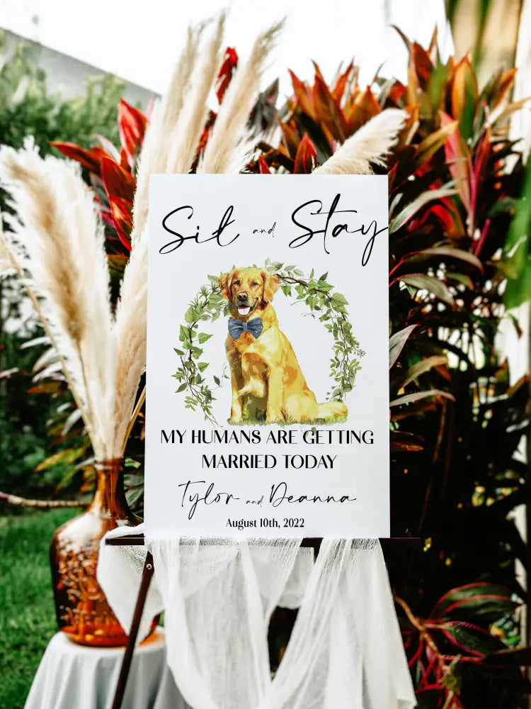 Sit and Stay Pet Greenery Welcome Sign - Premium from Sugar and Spice Invitations - Just $55! Shop now at Sugar and Spice Paper