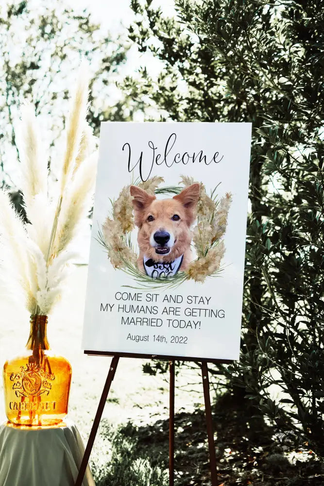 Sit and Stay Pet Pampas Grass Welcome Sign - Premium  from Sugar and Spice Invitations - Just $55! Shop now at Sugar and Spice Paper