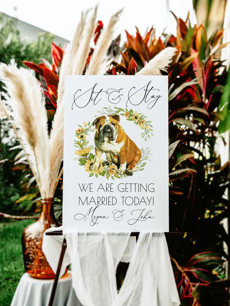 Sit and Stay Pet Sunflower Welcome Sign - Premium from Sugar and Spice Invitations - Just $55! Shop now at Sugar and Spice Paper