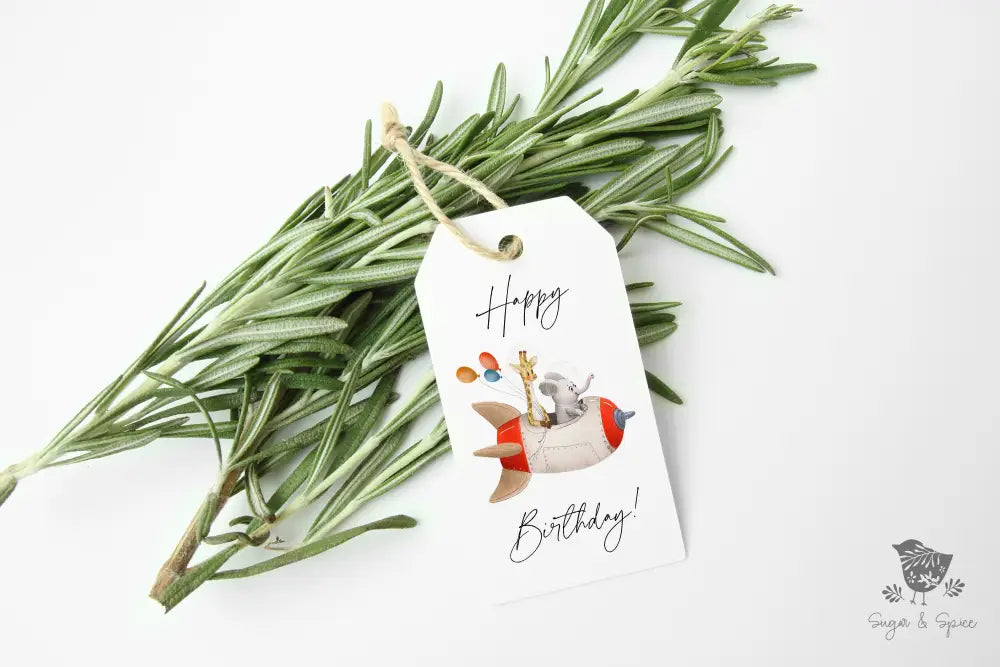 Spaceship Birthday Gift Tags - Premium Craft Supplies & Tools > Party & Gifting > Labels, Stickers & Tags > Tags from Sugar and Spice Invitations - Just $24! Shop now at Sugar and Spice Paper