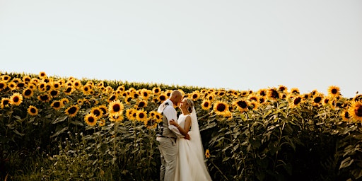 Sunflower Wedding Ideas 2024