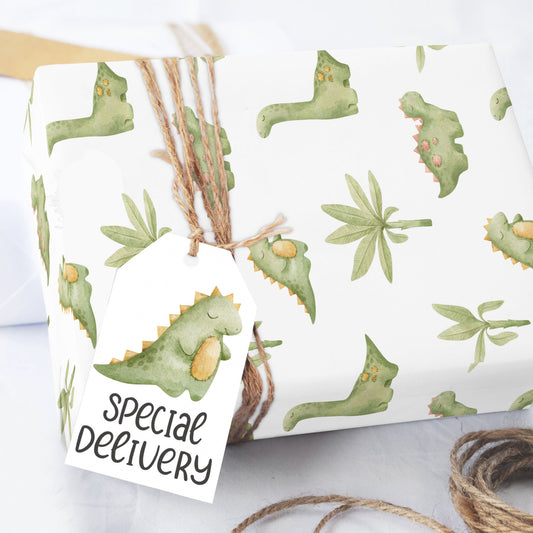 Dinosaur Baby Wrapping Paper Roll