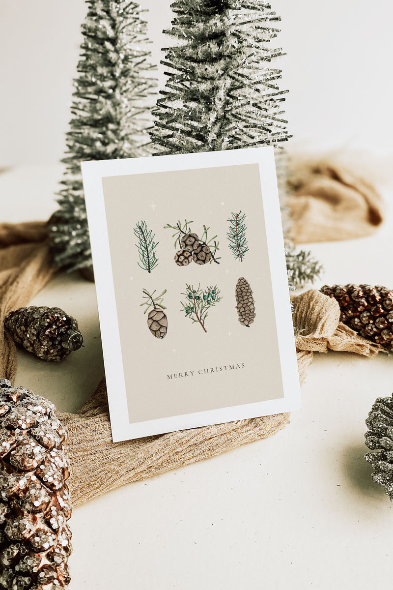 Pine Cones Christmas Greeting Cards Boxed Set