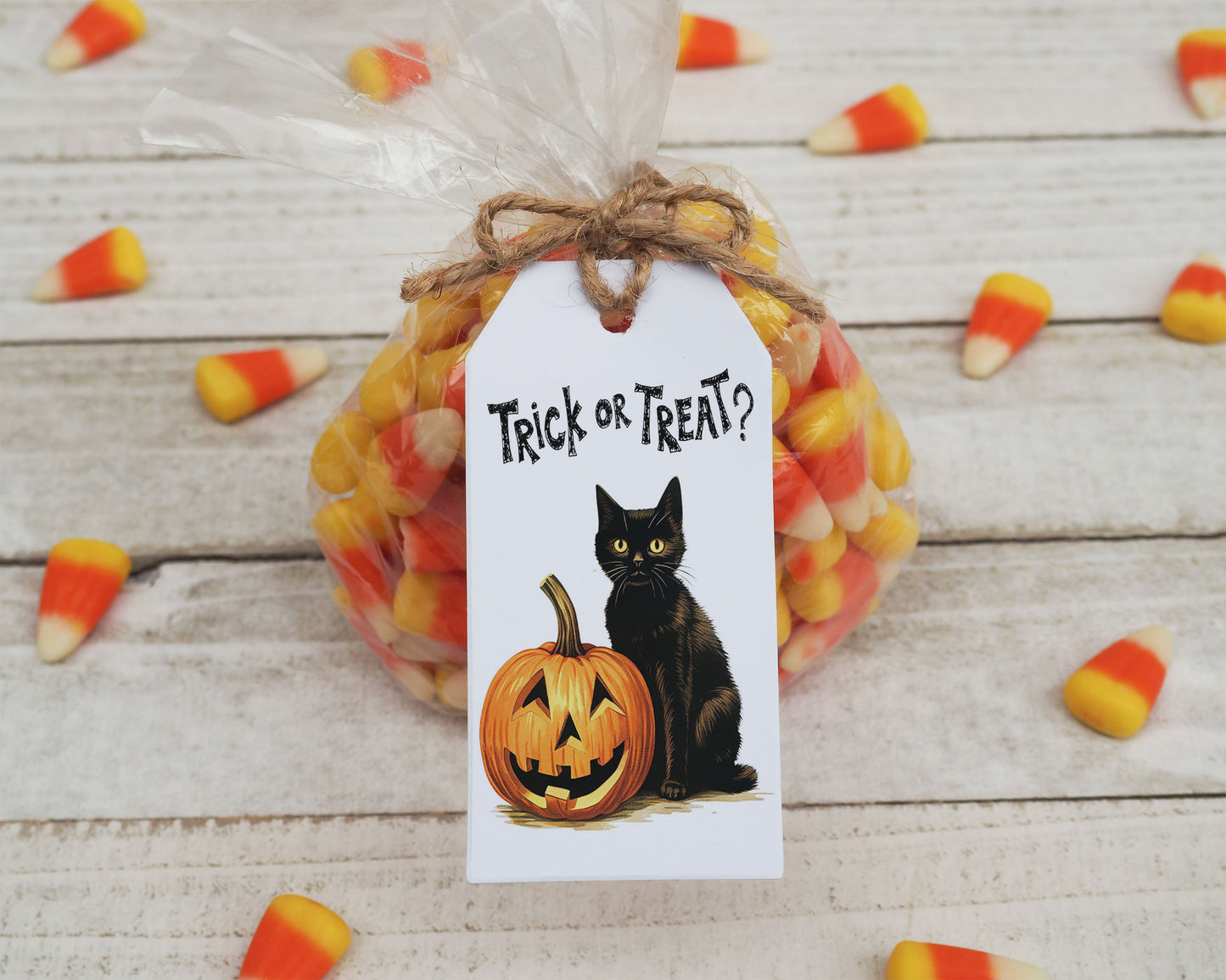 Black Cat Trick or Treat Halloween Gift Tag