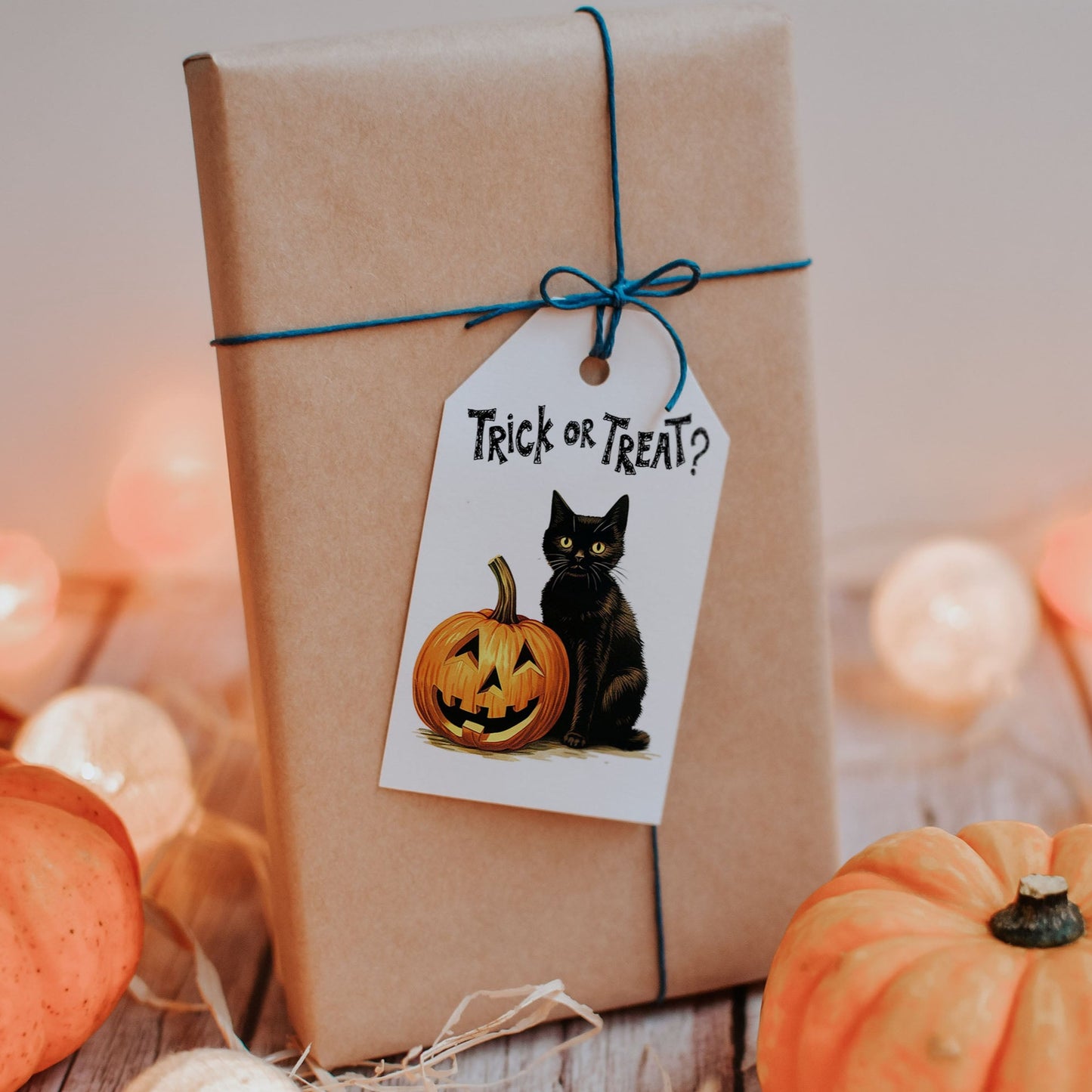 Black Cat Trick or Treat Halloween Gift Tag