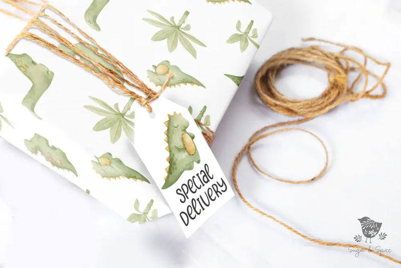 Baby Dinosaur Wrapping Paper - Premium Craft Supplies & Tools > Party & Gifting > Packaging & Wrapping from Sugar and Spice Invitations - Just $26.10! Shop now at Sugar and Spice Paper