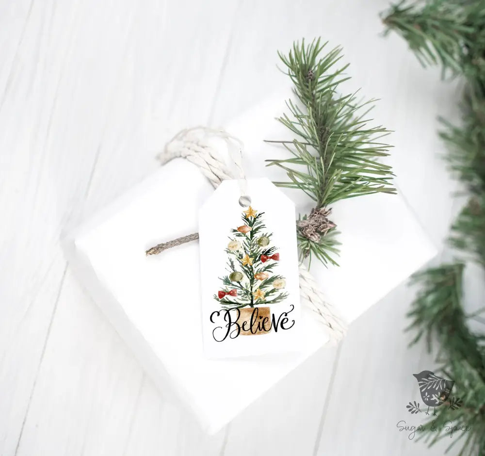 Believe Christmas Tree Gift Tag - Premium Craft Supplies & Tools > Party & Gifting > Labels, Stickers & Tags > Tags from Sugar and Spice Invitations - Just $26! Shop now at Sugar and Spice Paper