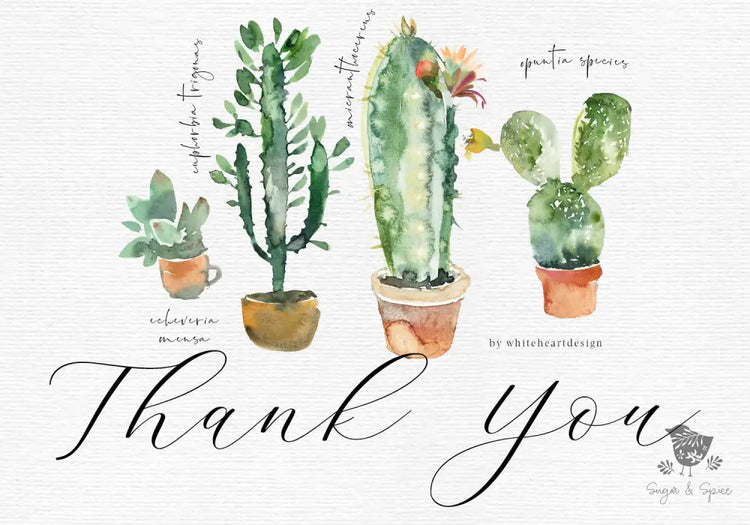Cactus Thank You Card - Premium Paper & Party Supplies > Paper > Invitations & Announcements > Invitations from Sugar and Spice Invitations - Just $2.50! Shop now at Sugar and Spice Paper