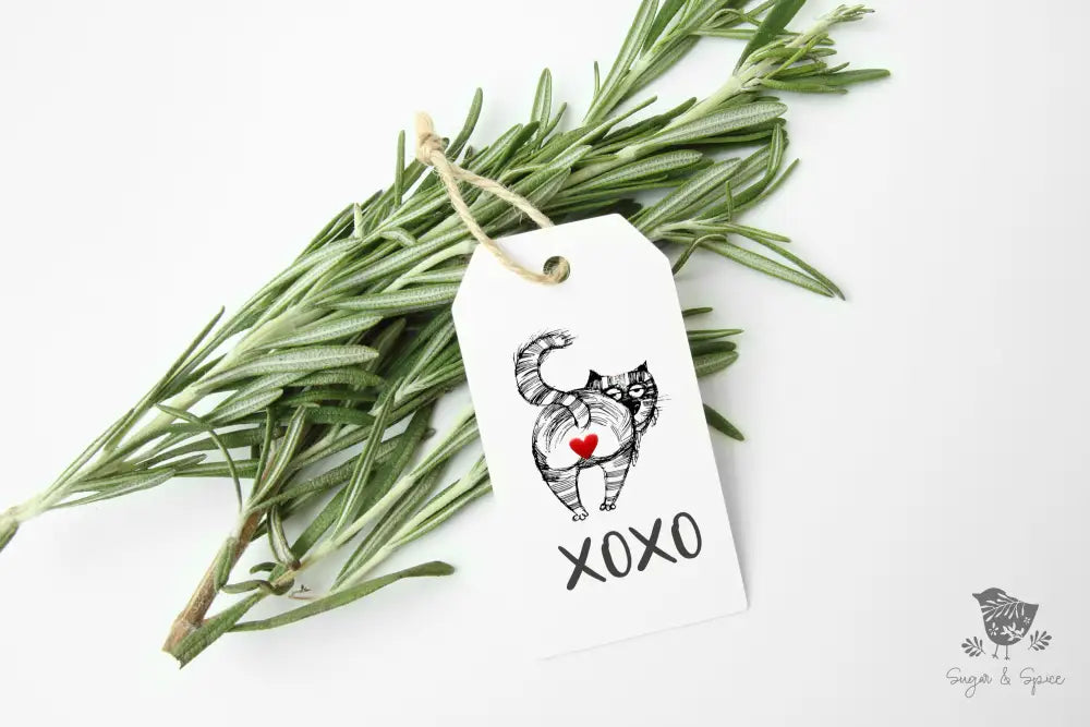 Cat Butt Valentine's Gift Tags - Premium Craft Supplies & Tools > Party & Gifting > Labels, Stickers & Tags > Tags from Sugar and Spice Invitations - Just $24! Shop now at Sugar and Spice Paper