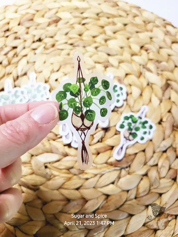 Clear Hanging House Plant Sticker - Premium  from Sugar and Spice Invitations - Just $3.50! Shop now at Sugar and Spice Paper