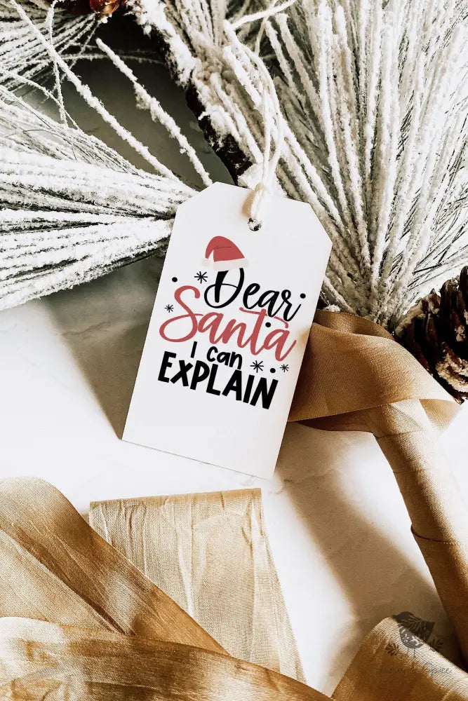 Dear Santa Christmas Gift Tag - Premium Craft Supplies & Tools > Party & Gifting > Labels, Stickers & Tags > Tags from Sugar and Spice Invitations - Just $24! Shop now at Sugar and Spice Paper