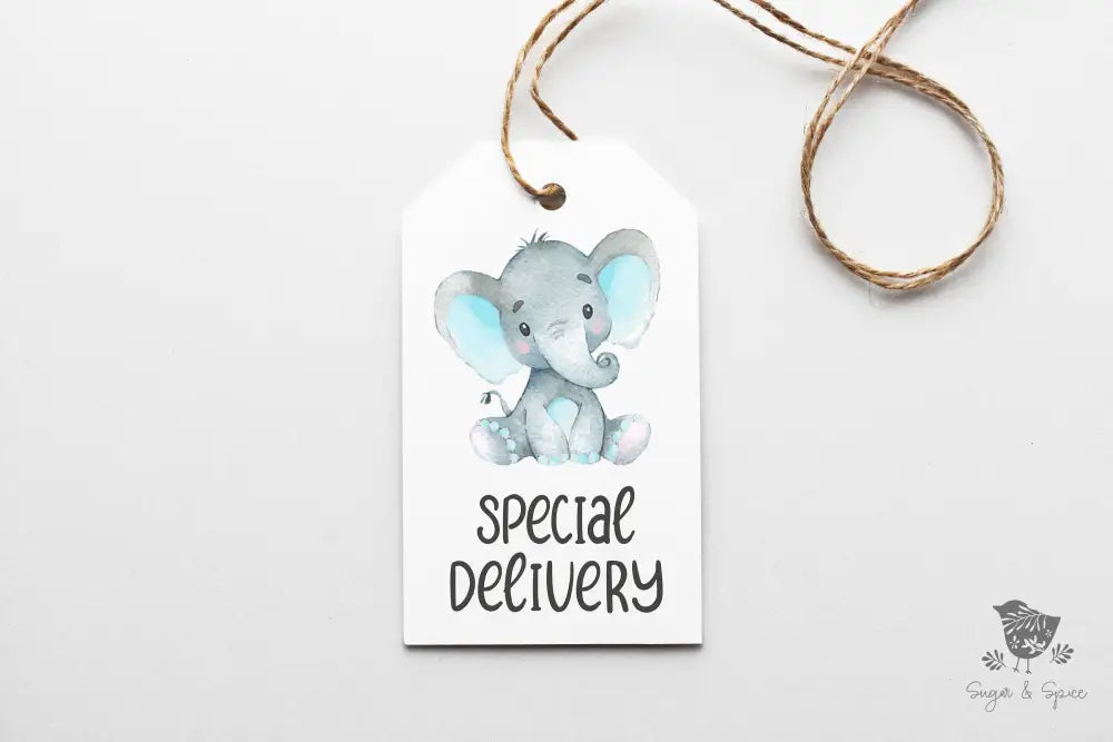 Elephant Baby Shower Gift Tag - Premium Craft Supplies & Tools > Party & Gifting > Labels, Stickers & Tags > Tags from Sugar and Spice Invitations - Just $26! Shop now at Sugar and Spice Paper