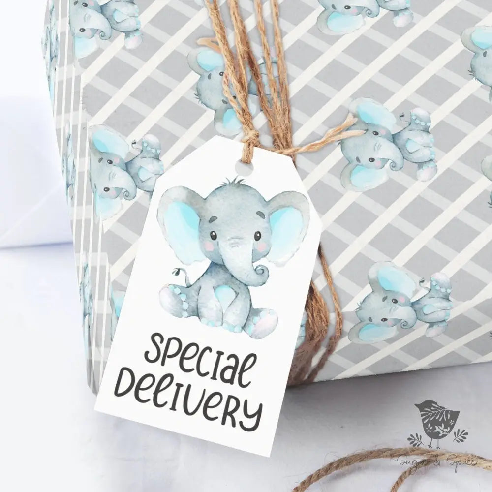Elephant Baby Shower Gift Tag - Premium Craft Supplies & Tools > Party & Gifting > Labels, Stickers & Tags > Tags from Sugar and Spice Invitations - Just $26! Shop now at Sugar and Spice Paper