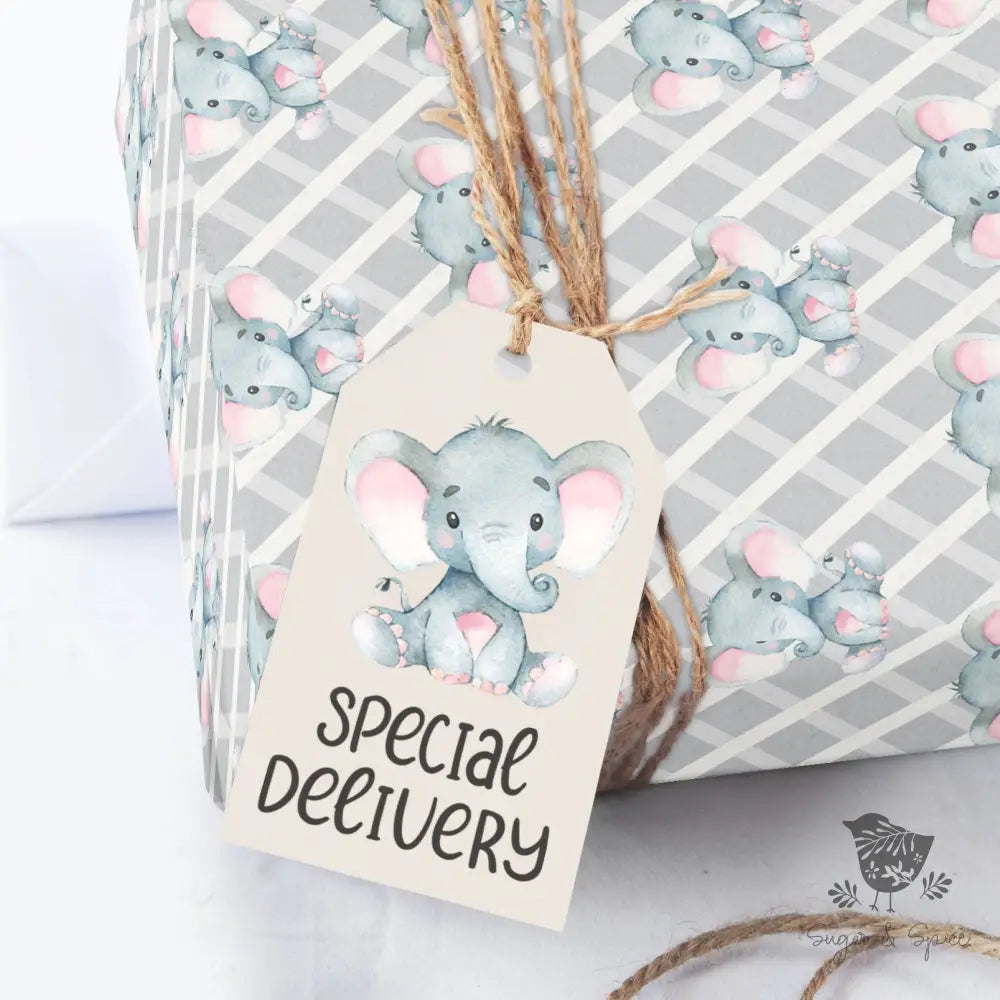 Elephant Baby Shower Girl Gift Tag - Premium Craft Supplies & Tools > Party & Gifting > Labels, Stickers & Tags > Tags from Sugar and Spice Invitations - Just $24! Shop now at Sugar and Spice Paper