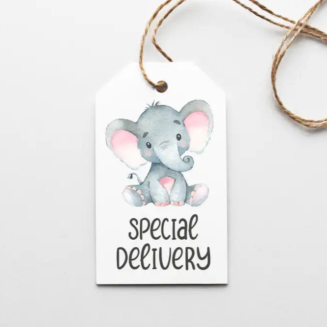Elephant Baby Shower Girl Gift Tag - Premium Craft Supplies & Tools > Party & Gifting > Labels, Stickers & Tags > Tags from Sugar and Spice Invitations - Just $24! Shop now at Sugar and Spice Paper