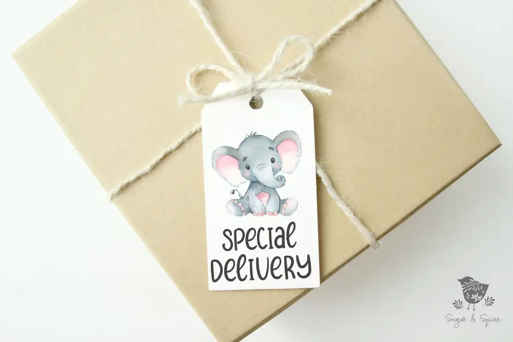 Elephant Baby Shower Girl Gift Tag - Premium Craft Supplies & Tools > Party & Gifting > Labels, Stickers & Tags > Tags from Sugar and Spice Invitations - Just $24! Shop now at Sugar and Spice Paper