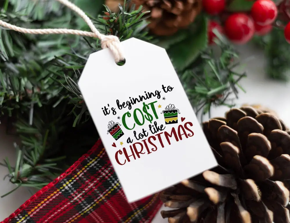 Funny Christmas gift tag - Premium Craft Supplies & Tools > Party & Gifting > Labels, Stickers & Tags > Tags from Sugar and Spice Invitations - Just $24! Shop now at Sugar and Spice Paper