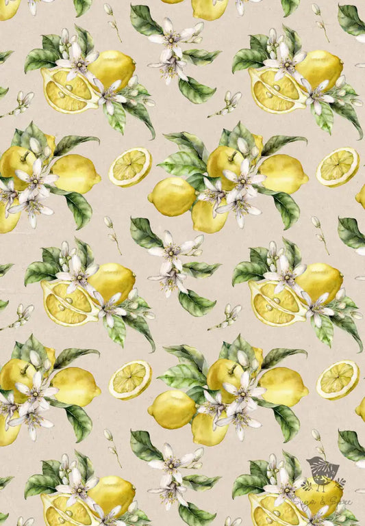 Lemon Kraft Wrapping Paper - Premium Craft Supplies & Tools > Party & Gifting > Packaging & Wrapping from Sugar and Spice Invitations - Just $26.10! Shop now at Sugar and Spice Paper