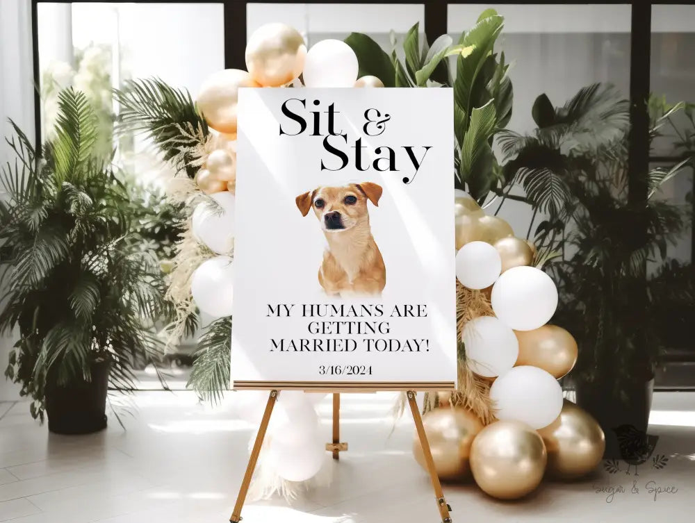 Minimalist Sit and Stay Pet Welcome Sign - Premium  from Sugar and Spice Invitations - Just $65! Shop now at Sugar and Spice Paper