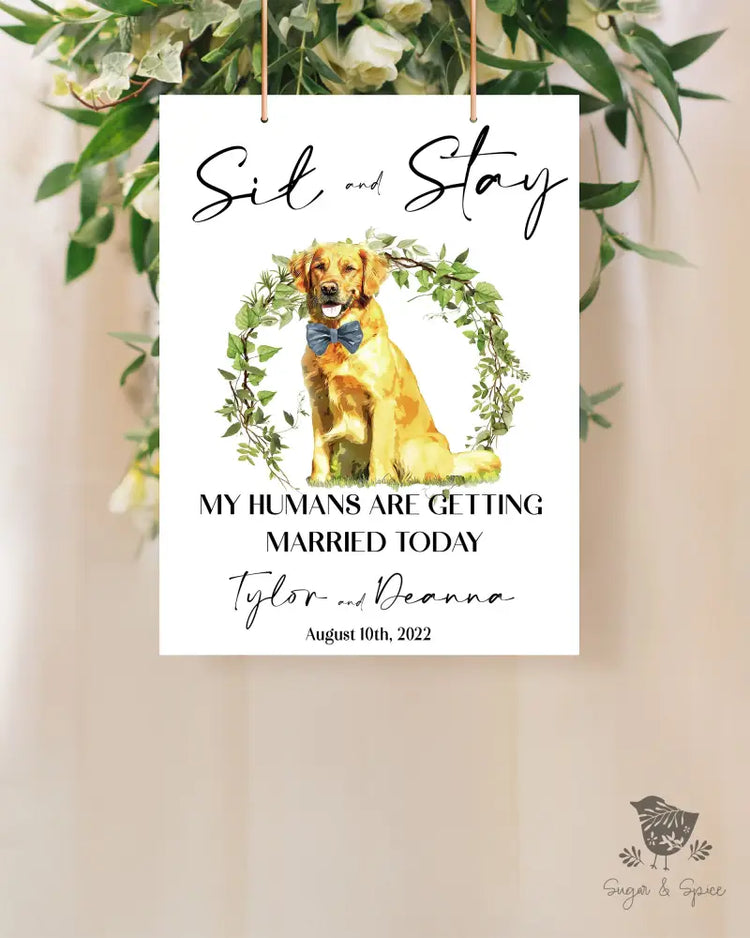 Sit and Stay Pet Greenery Welcome Sign - Premium  from Sugar and Spice Invitations - Just $55! Shop now at Sugar and Spice Paper