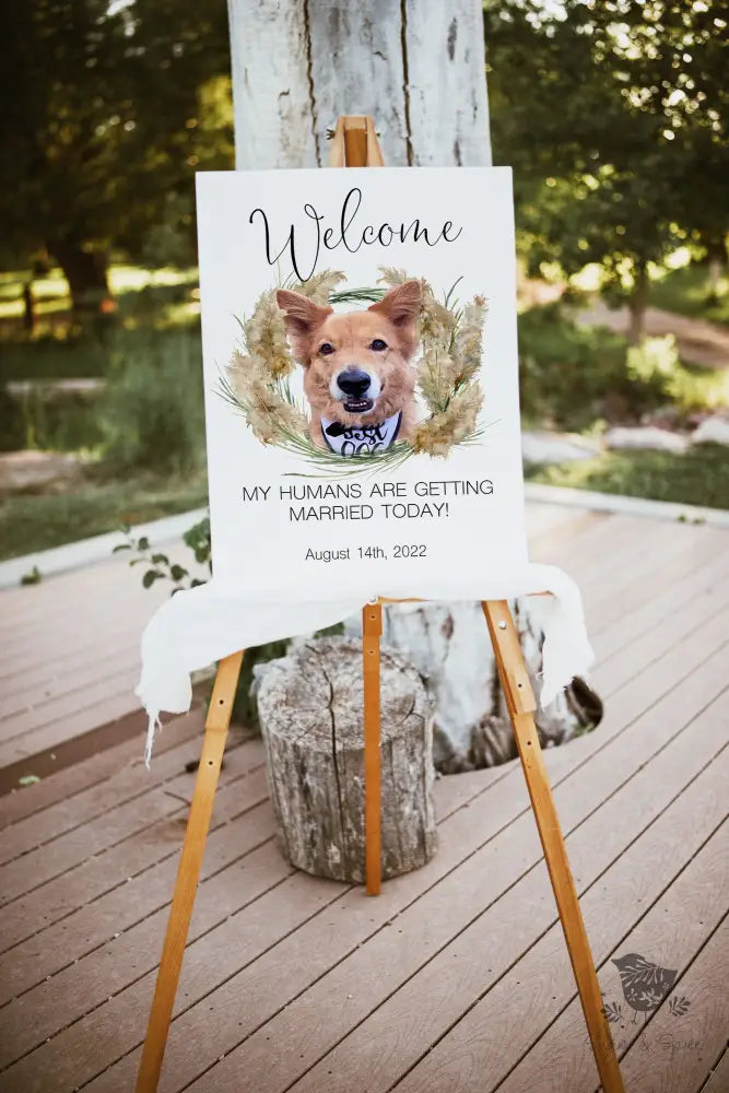 Sit and Stay Pet Pampas Grass Welcome Sign - Premium  from Sugar and Spice Invitations - Just $55! Shop now at Sugar and Spice Paper