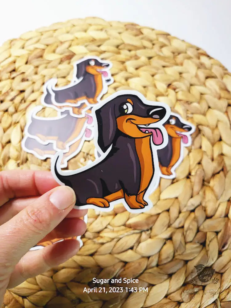 Weiner Dog Stickers - Premium  from Sugar and Spice Invitations - Just $3! Shop now at Sugar and Spice Paper